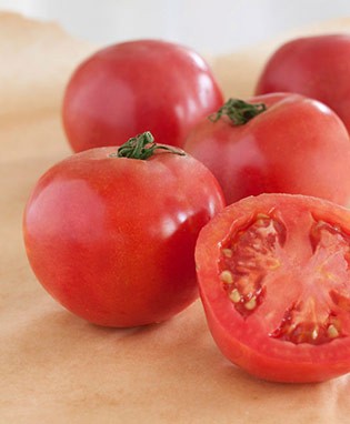 Arkansas Traveler Heirloom Tomato